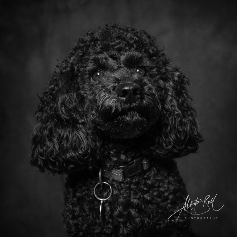 Instagram post from alastairbellphotography. This post is in position 4.