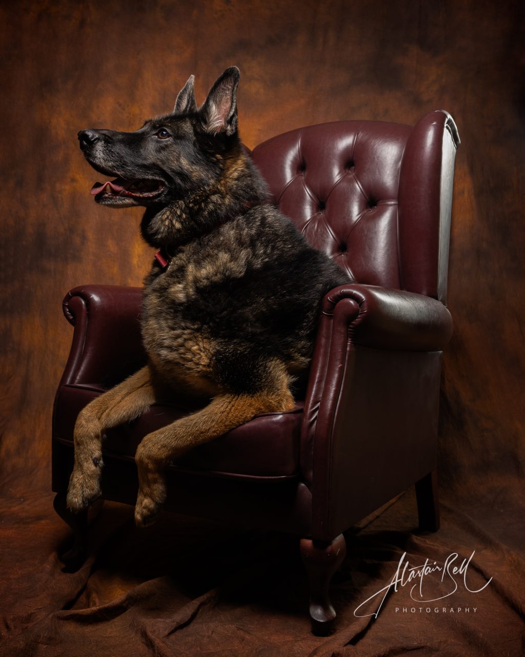 Instagram post from alastairbellphotography. This post is in position 1.